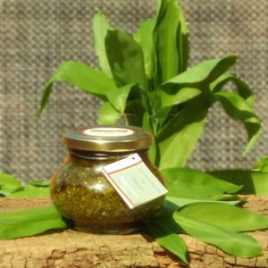 Bärlauch-Pesto von essArt